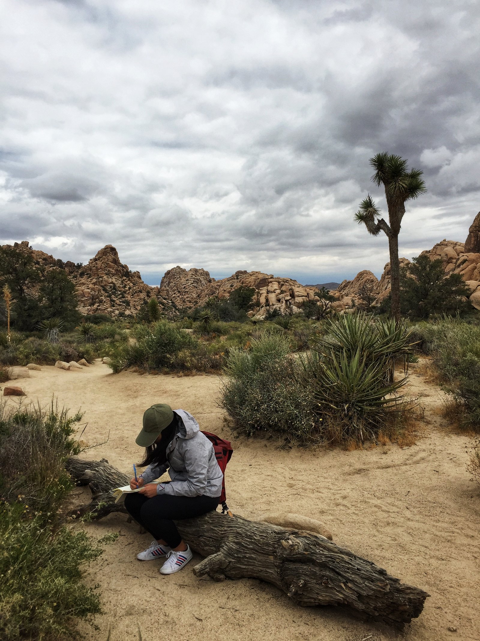 Critical Listening in a Divergent Wilderness. Workshop in Joshua Tree National Park.