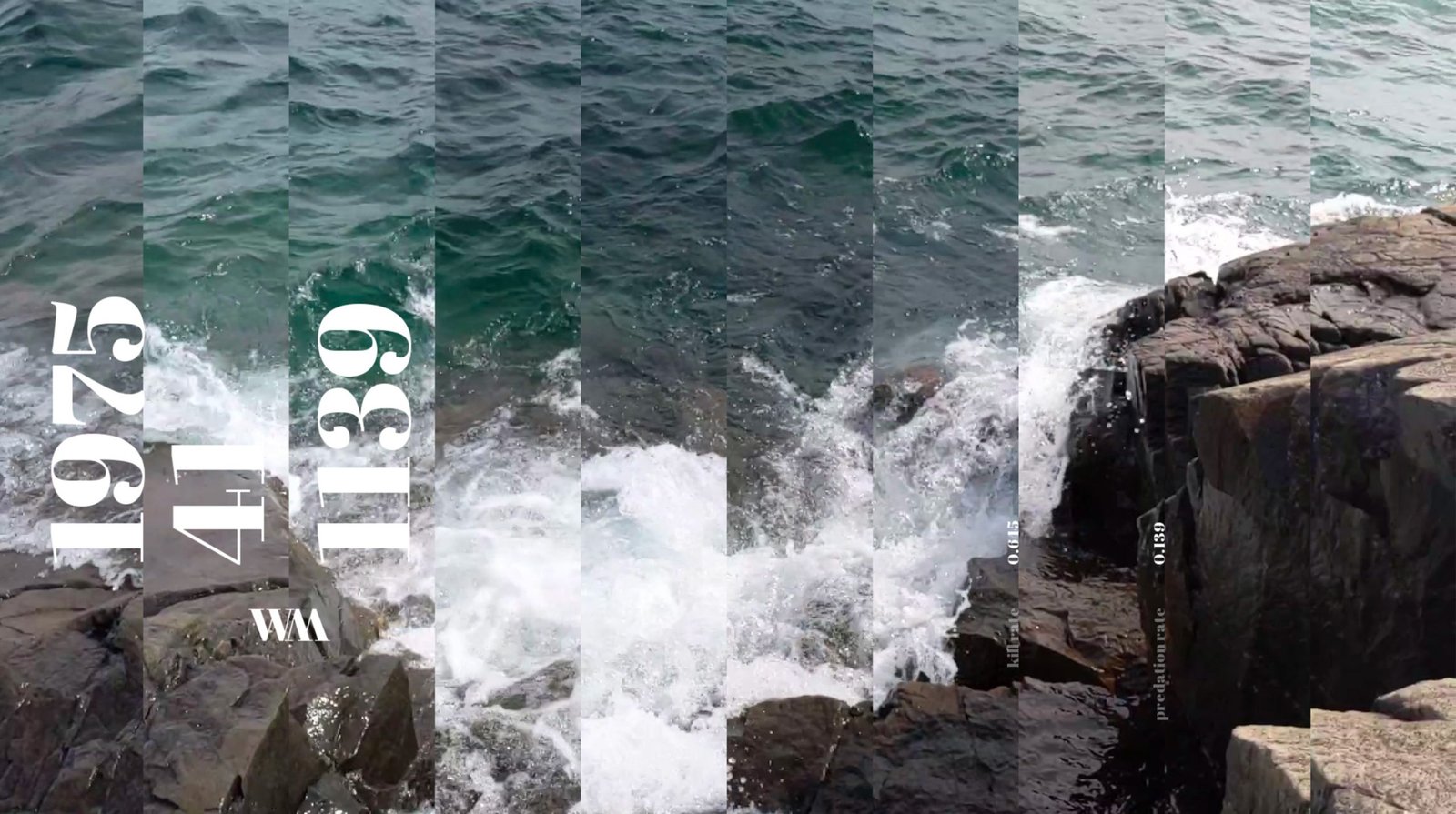 Isle Royale – Listening Beyond the Edge